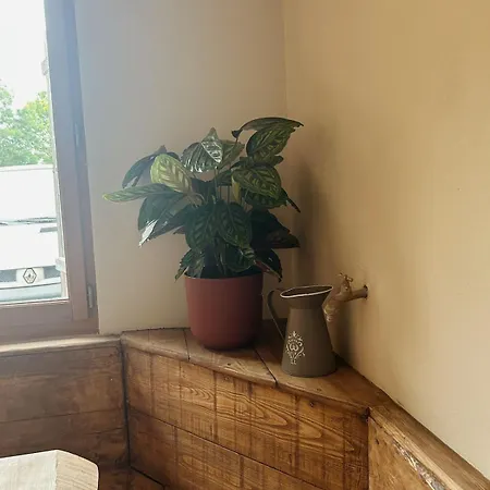 別荘 La Casa D'opale, Maison De 14 Couchages