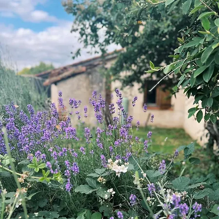 Semesterbostad La Casa D'opale, Maison De 14 Couchages Montauban